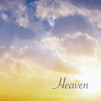 Heaven in Heaven SR Photography $150.jpeg