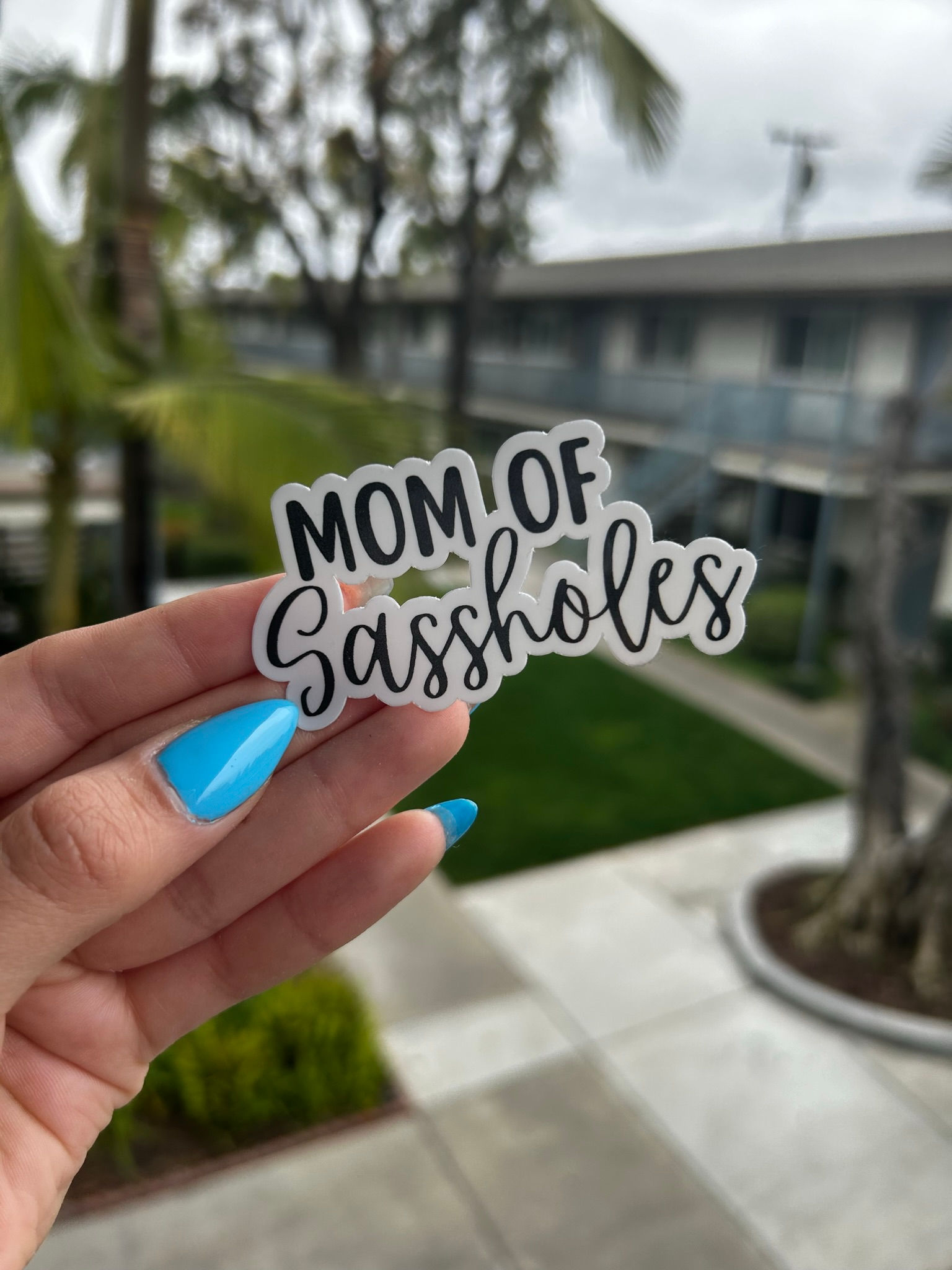 Sassholes Sticker