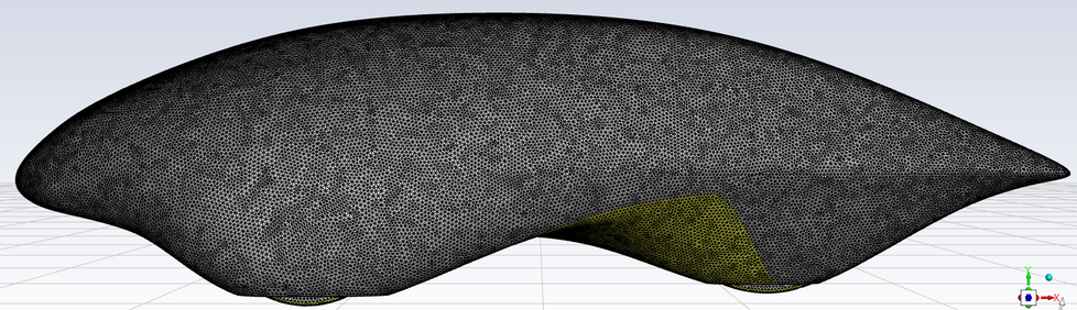 Ansys Meshing