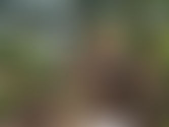 Nature and Your Divorce Recovery