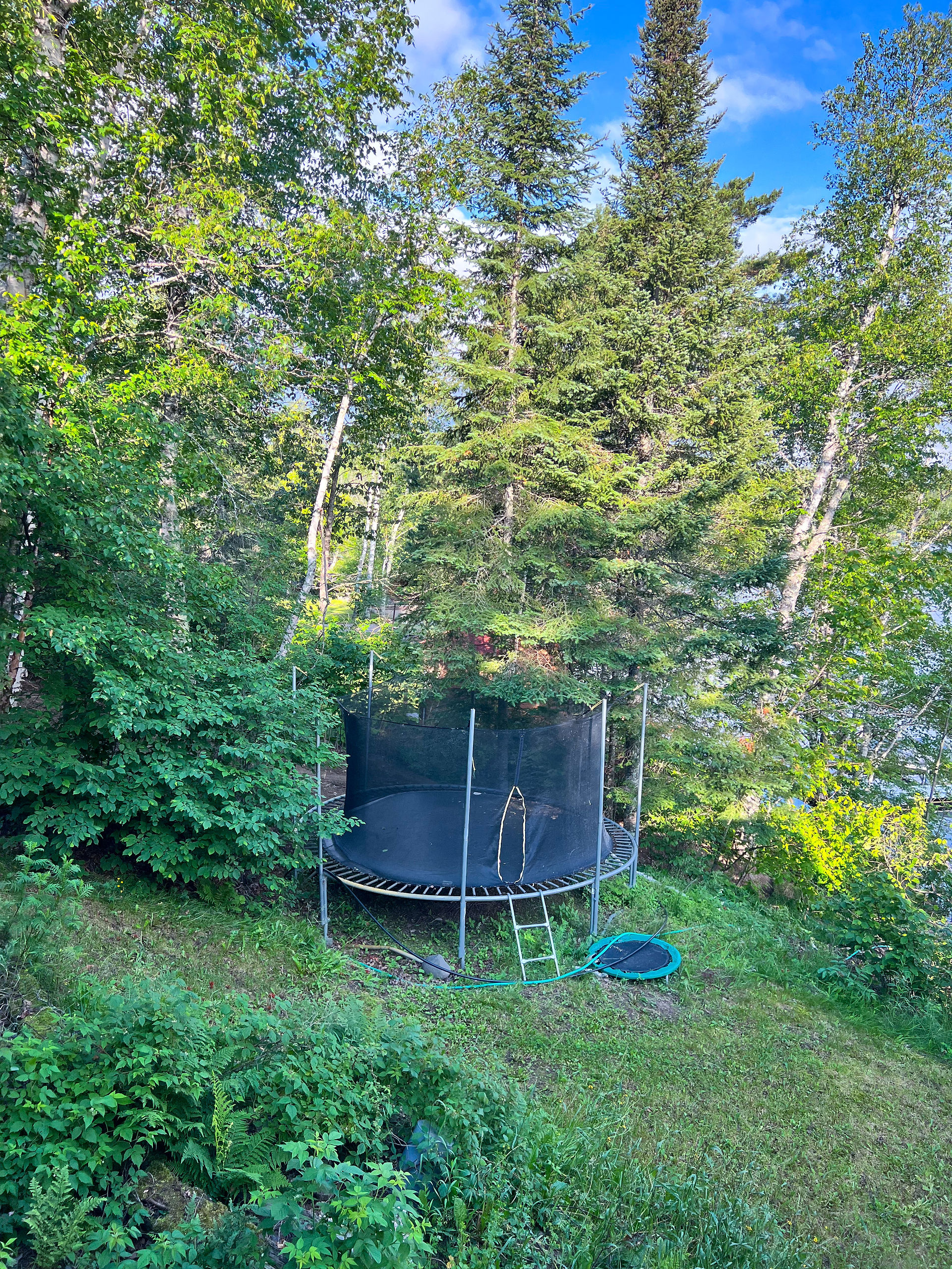 Trampoline We've had Forever