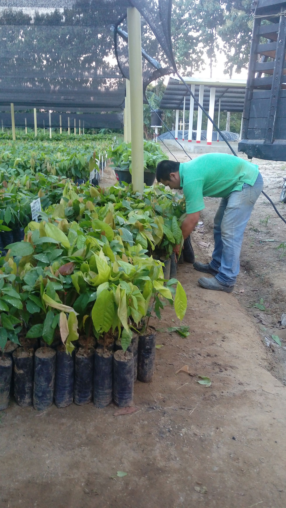 IMAG0035