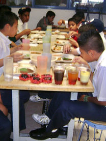 Comedor de PACO, IAP.jpg