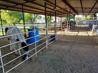 20190417_065736 (1).jpg
