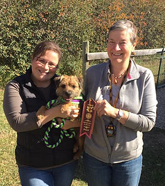 woman holding dog and receiving a ribbon from a woman judge
