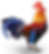 Rooster retina