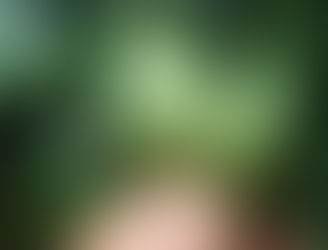 Guerra ao Bicudo do Algodão com aplicações UBV e BVO