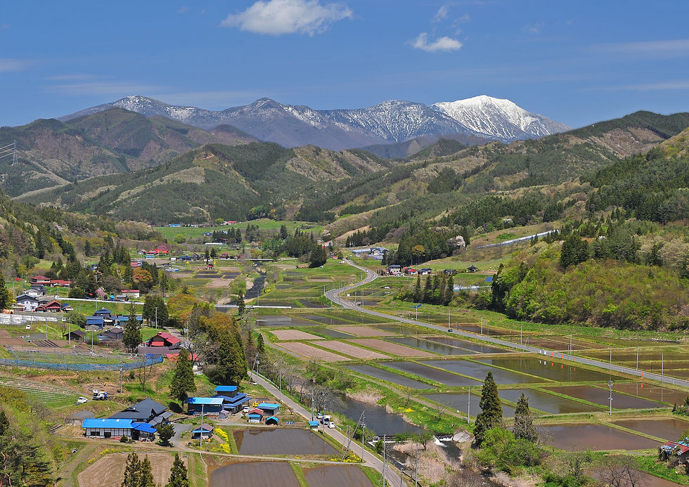 早池峰山 春