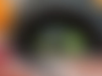 Sonnenaufgang über Winterswijk