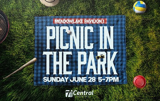 Picnic In The Park.jpg