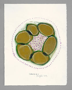 CHAINED #6 | 2019 © Kerstin Jeckel