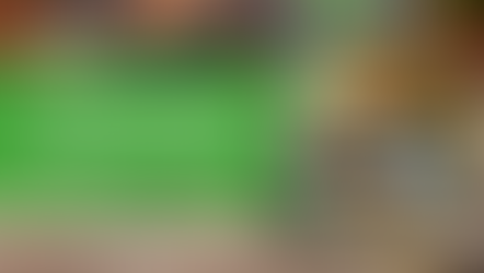 Freeze Dried Food Exporter in India: Meeting Global Demand with Advanced Technology