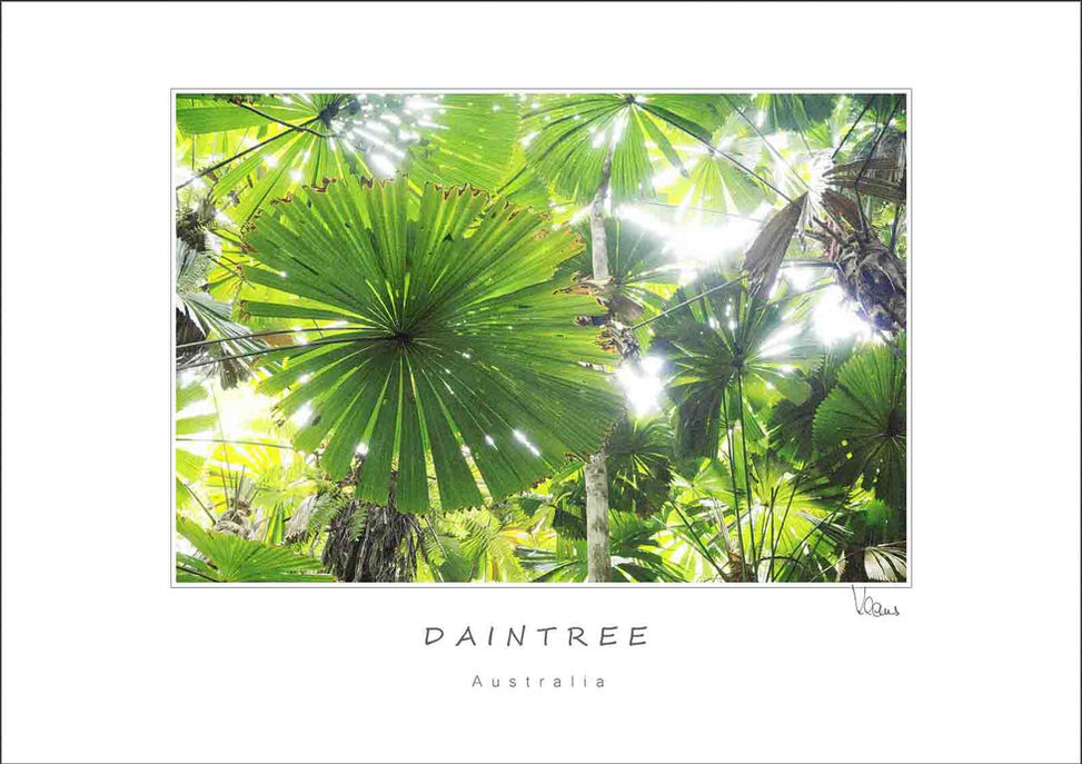 Urwald und Dschungel gibt es in den Tropen genauso wie bei uns in Europa. Die Bilder zeigen Wald, der sich selbst überlassen wurde. Ein sehr buntes Gestrüpp des Niederwaldes in Südfrankreich.