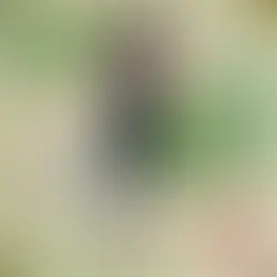 Review: "Lucky Gift" - Margaret Cho