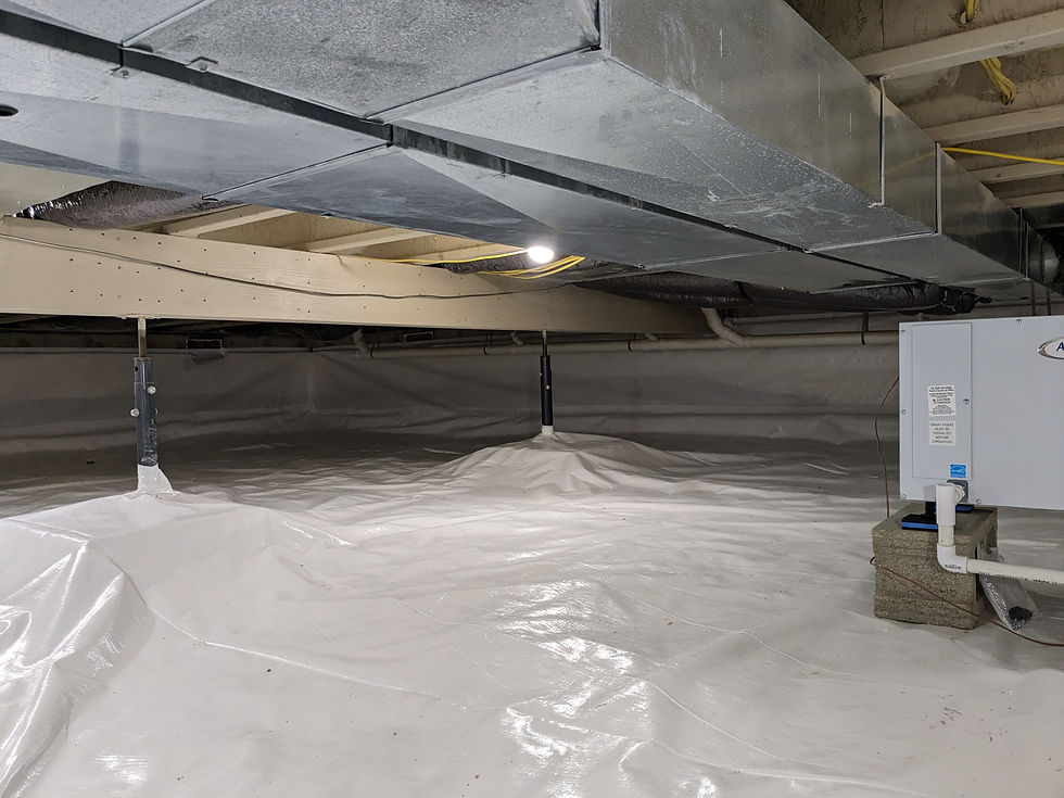 Crawlspace Mold Remediation