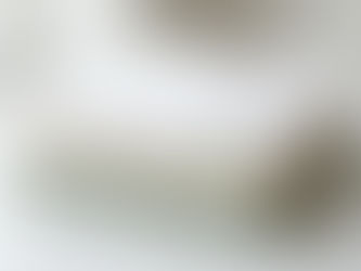 Organic Blank T-Shirt Manufacturer for European and UK Brands