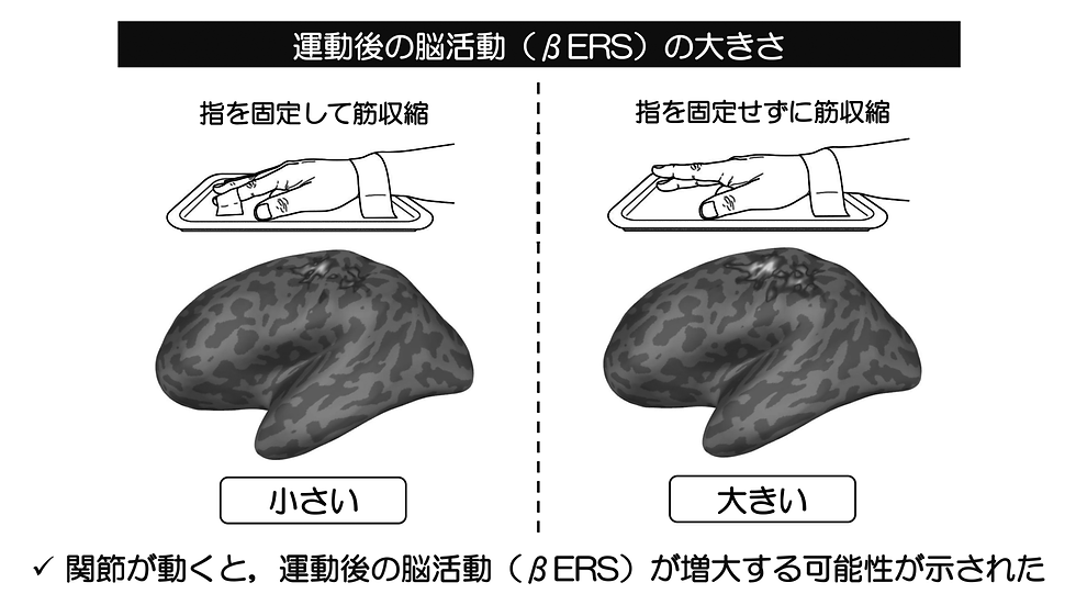 関節運動を伴う場合と伴わない場合を比較