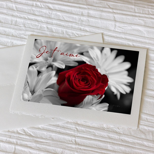 Carte pour la  Saint-Valentin avec photo de marguerites et d'une rose rouge