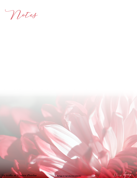 Feuille de notes non-lignée téléchargable. Photographie d'une dahlia rouge.