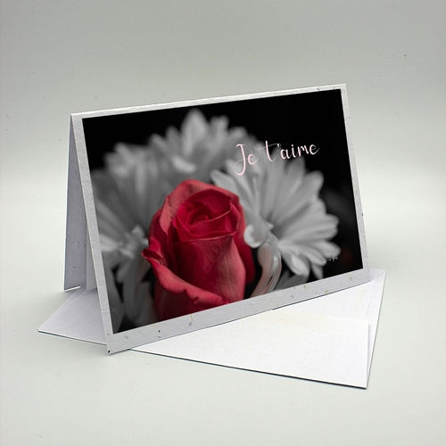 Carte de souhaits photographique fabriquée avec du papier pouvant être semer. Photographie d'un bouquet de marguerites avec une rose et un texte: Je t'aime