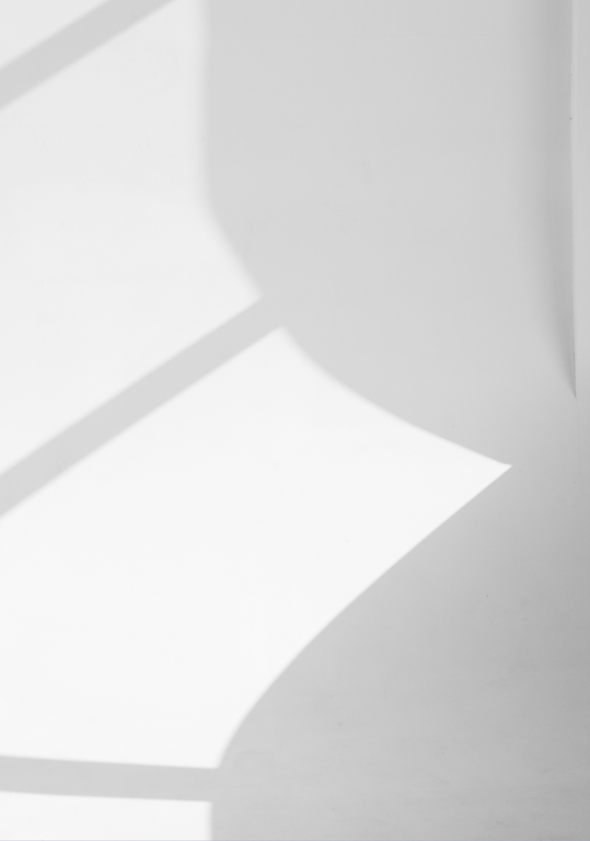 Copy of Website Insp.png