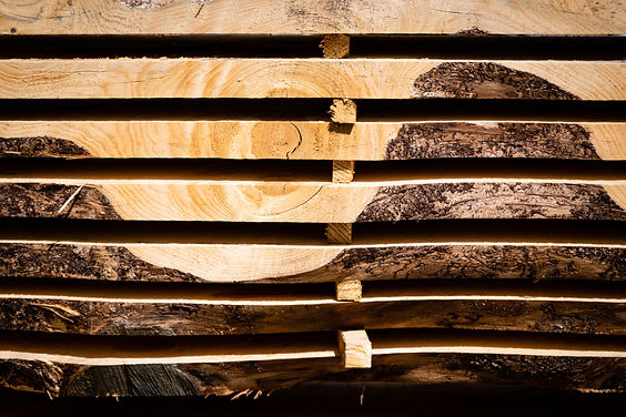 Sawmill04 (c) François Sougnez.jpg