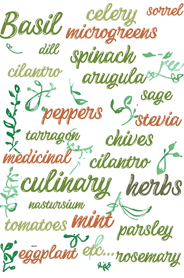 final Typography Herb Garden Collage (1).png