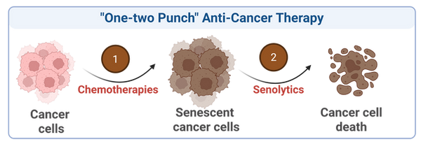 One-two puch anti-cancer therapey