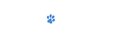 Nebula's Foundation Primary Logo