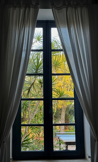 Tranquil garden views