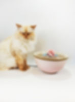 Thumbnail: Vintage Rose