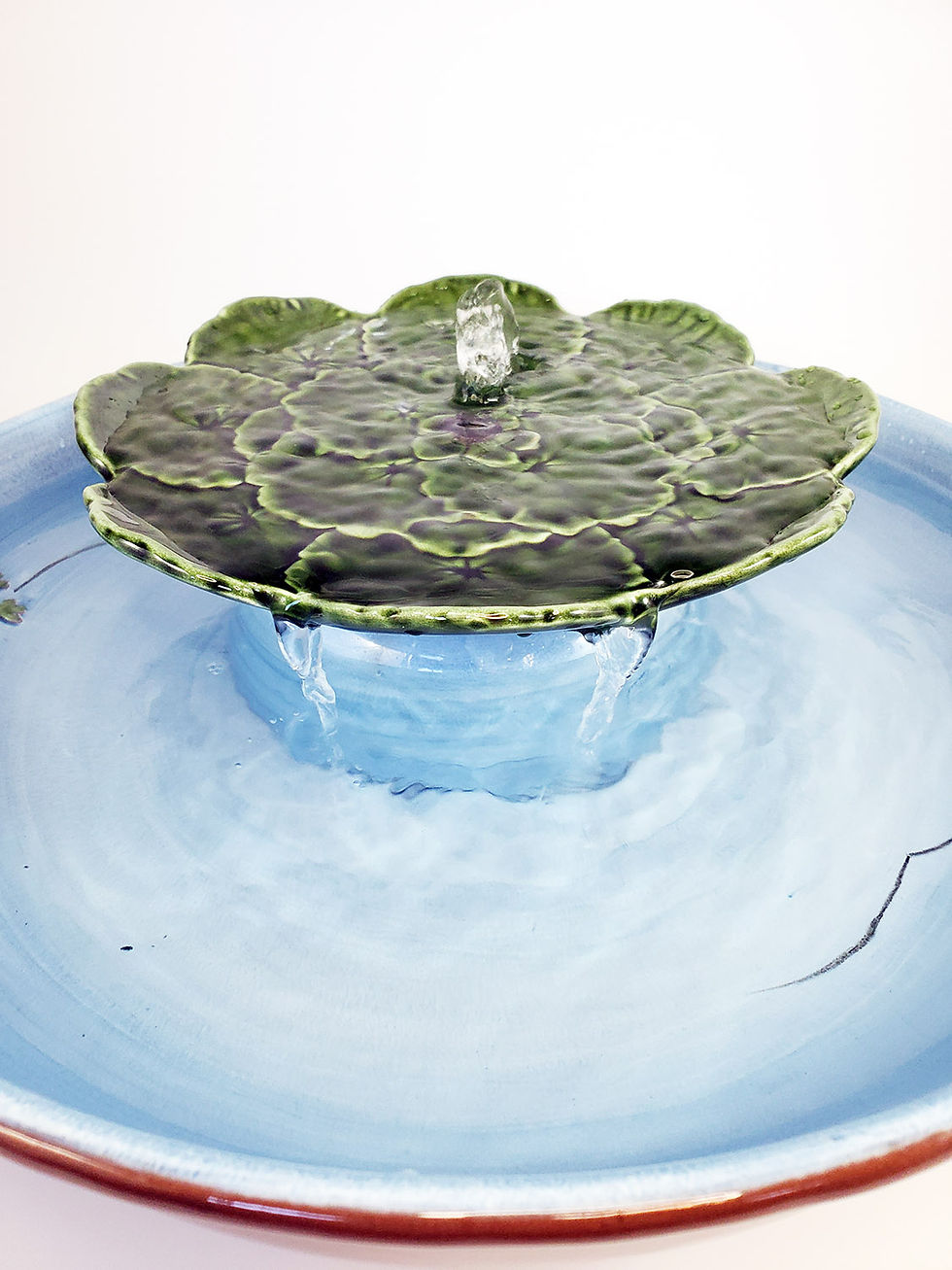 Thumbnail: Frog Pond