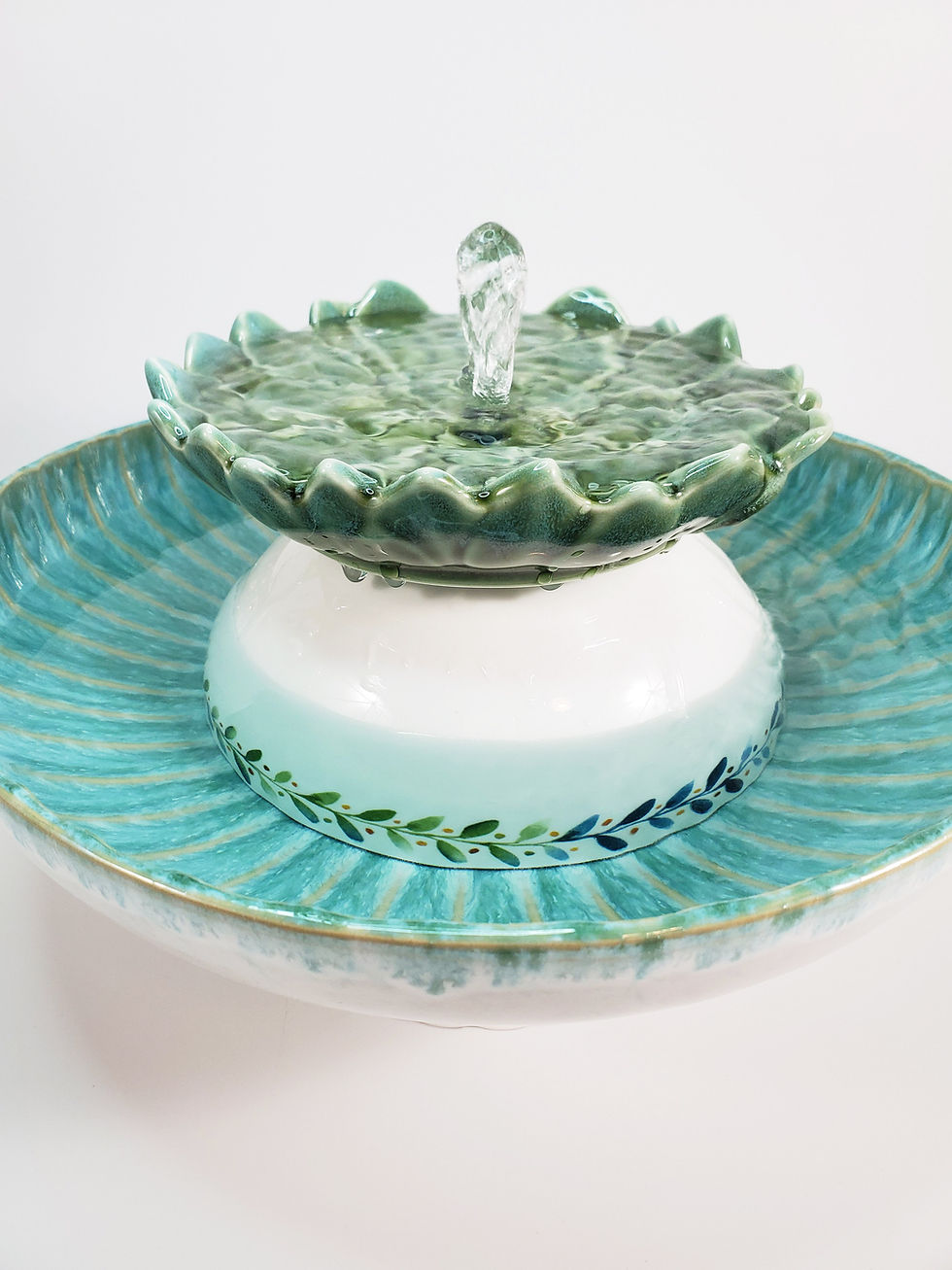 Thumbnail: Succulent Charm