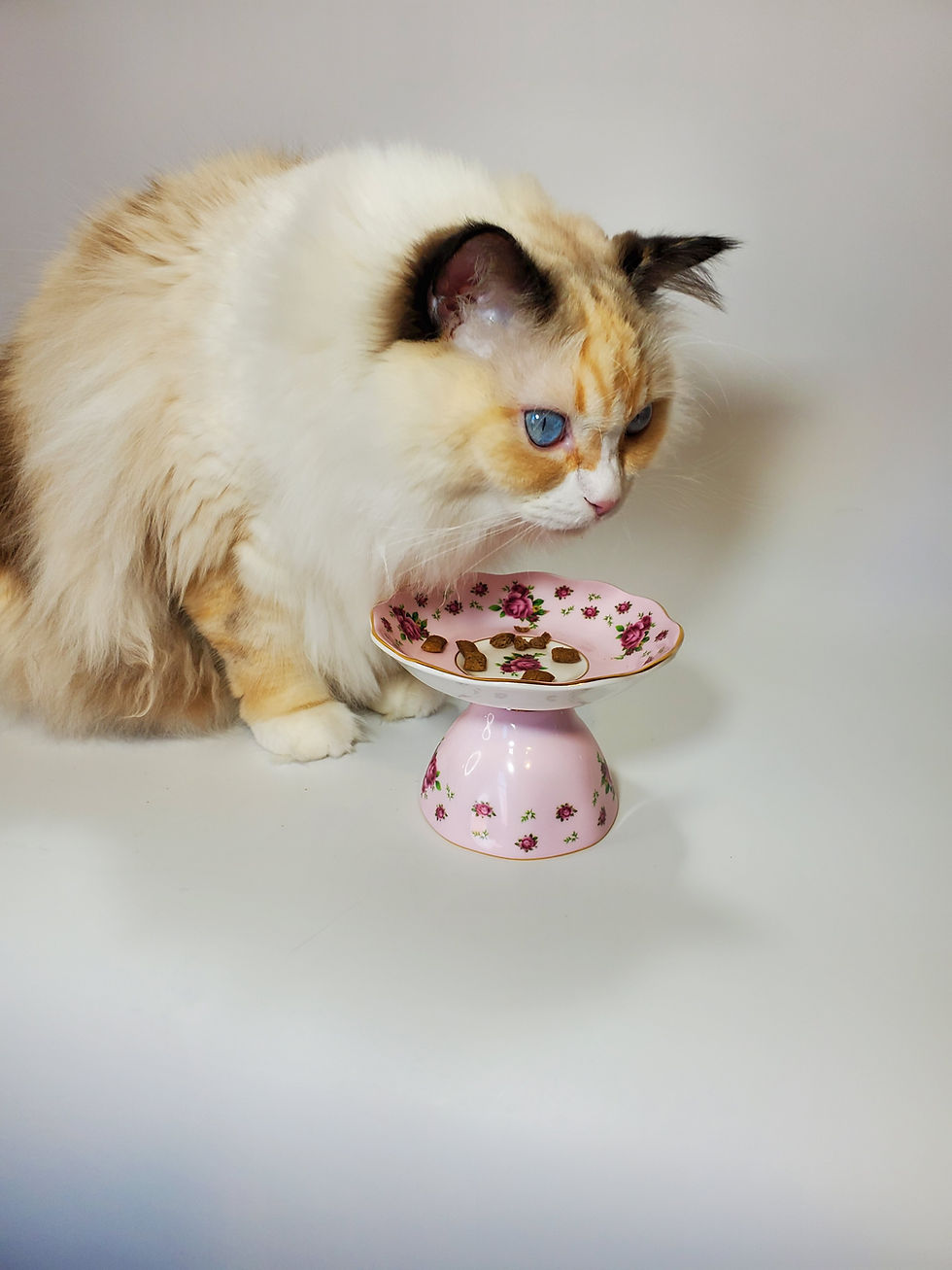 Thumbnail: Tea Party Elevated Food Dish