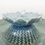 Thumbnail: Serene Succulent