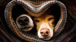 Testimonial: 1 life changing session for this lovely client