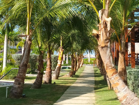 Cabeza de Toro Beach Resort & Spa Walkway