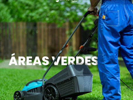 ¡Alerta! Los Peligros Ocultos de las Áreas Verdes