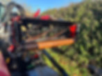 Thumbnail: Toro