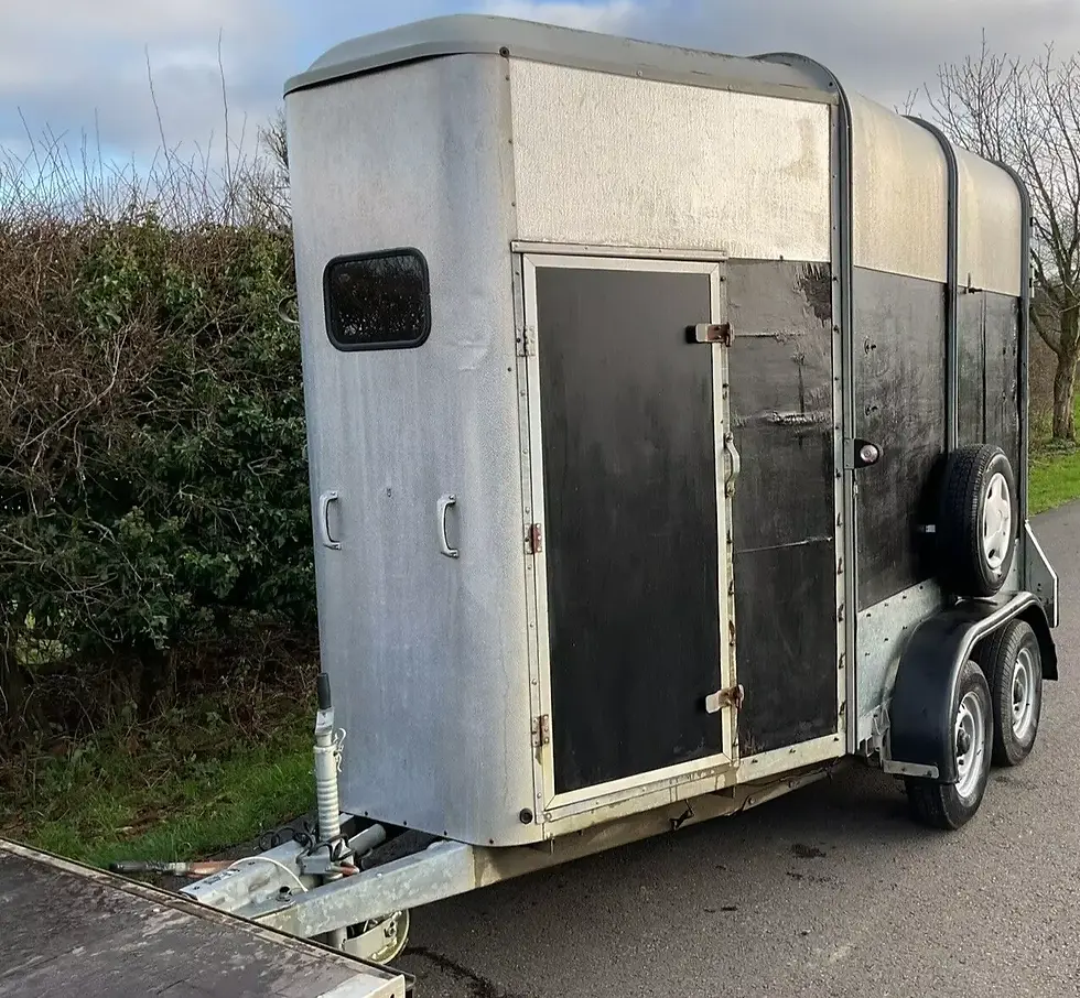 Thumbnail: Ifor Williams Horsebox For Sale