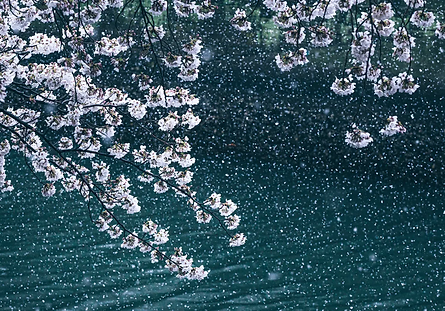 4月