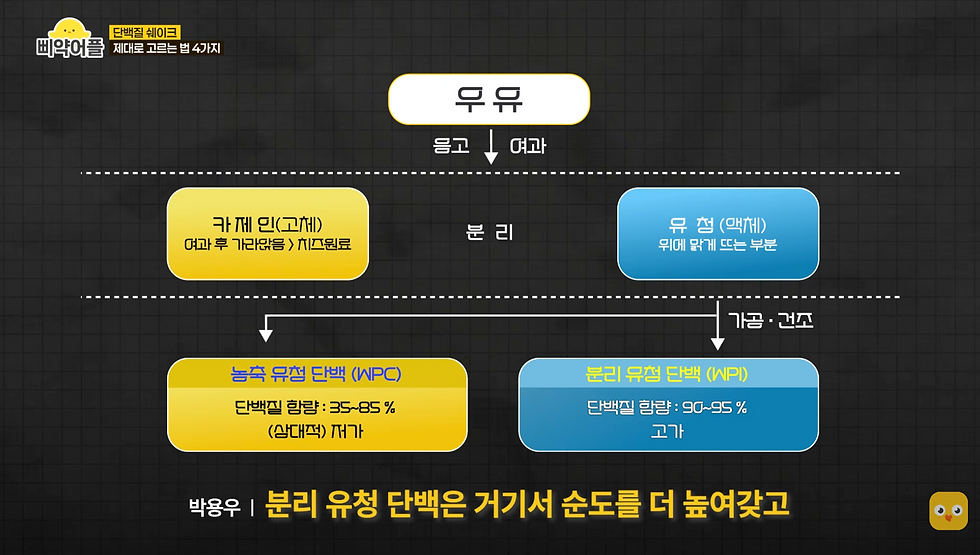 마운자로 단백질, 단백질 쉐이크 고르는법 - 삐약 어플