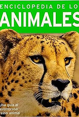 Agrega un título.jpg