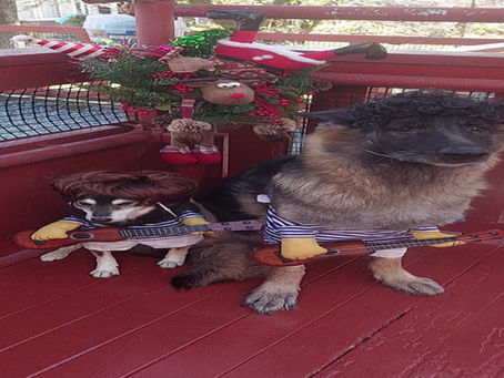 『 ハッピー✨🎄✨Xmas 』