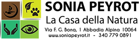 logo_arr (1).png