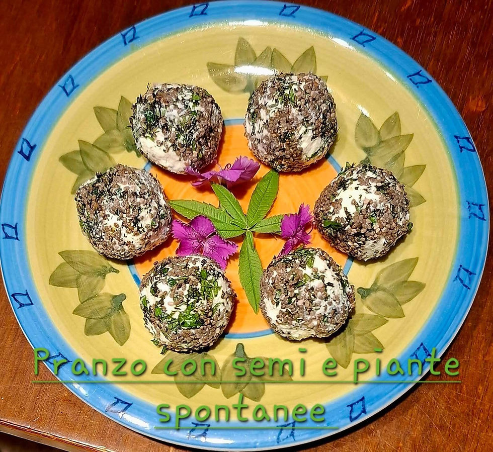 Pranzo con semi e piante spontanee