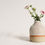 Thumbnail: Small white bud vase