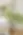 R6__1288 copy.webp