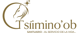 Logo nuevo recortado.png