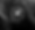 Untitled_Artwork 2.png